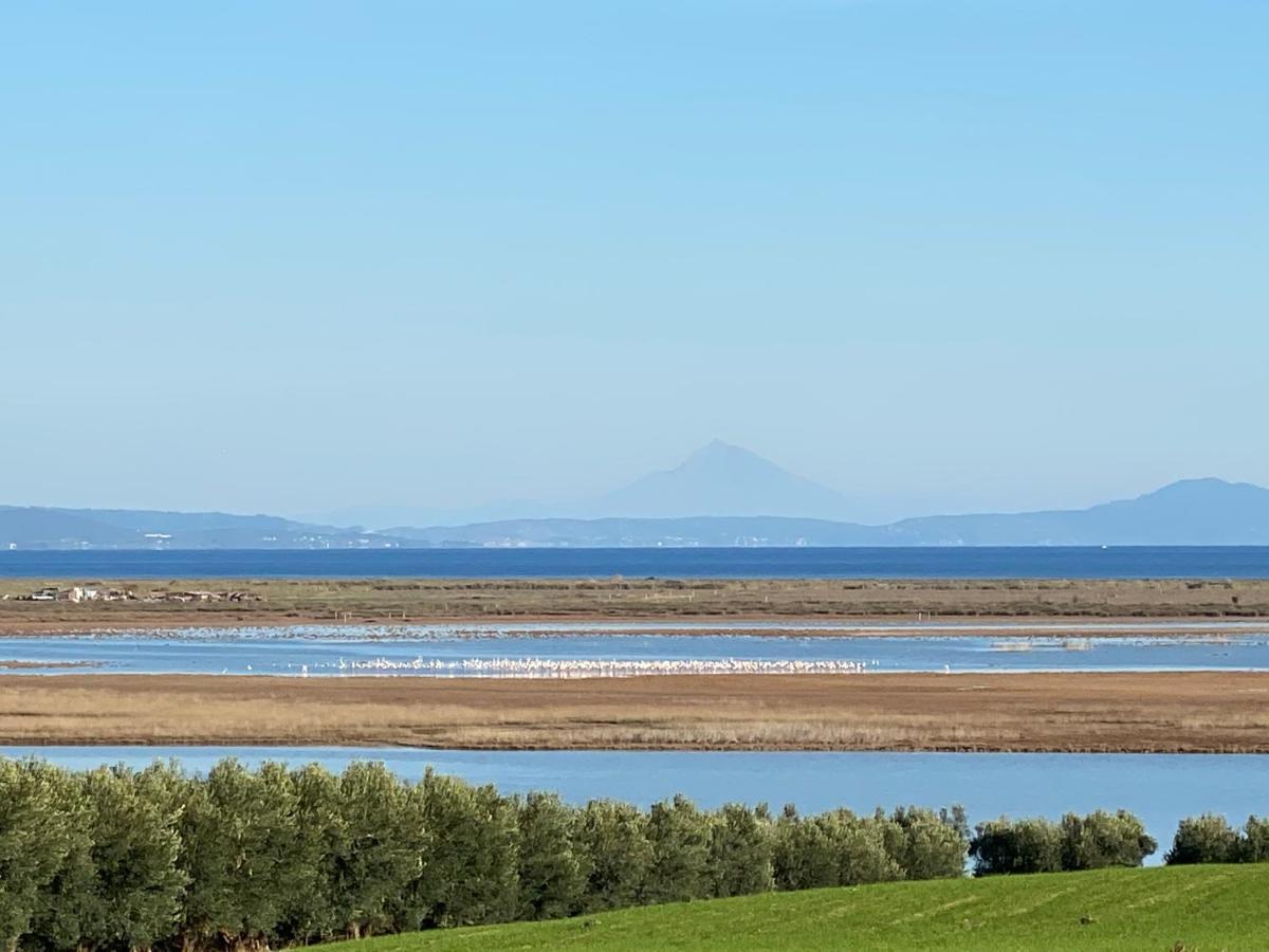 Villa Olymp Nea Poteidaia Exteriör bild