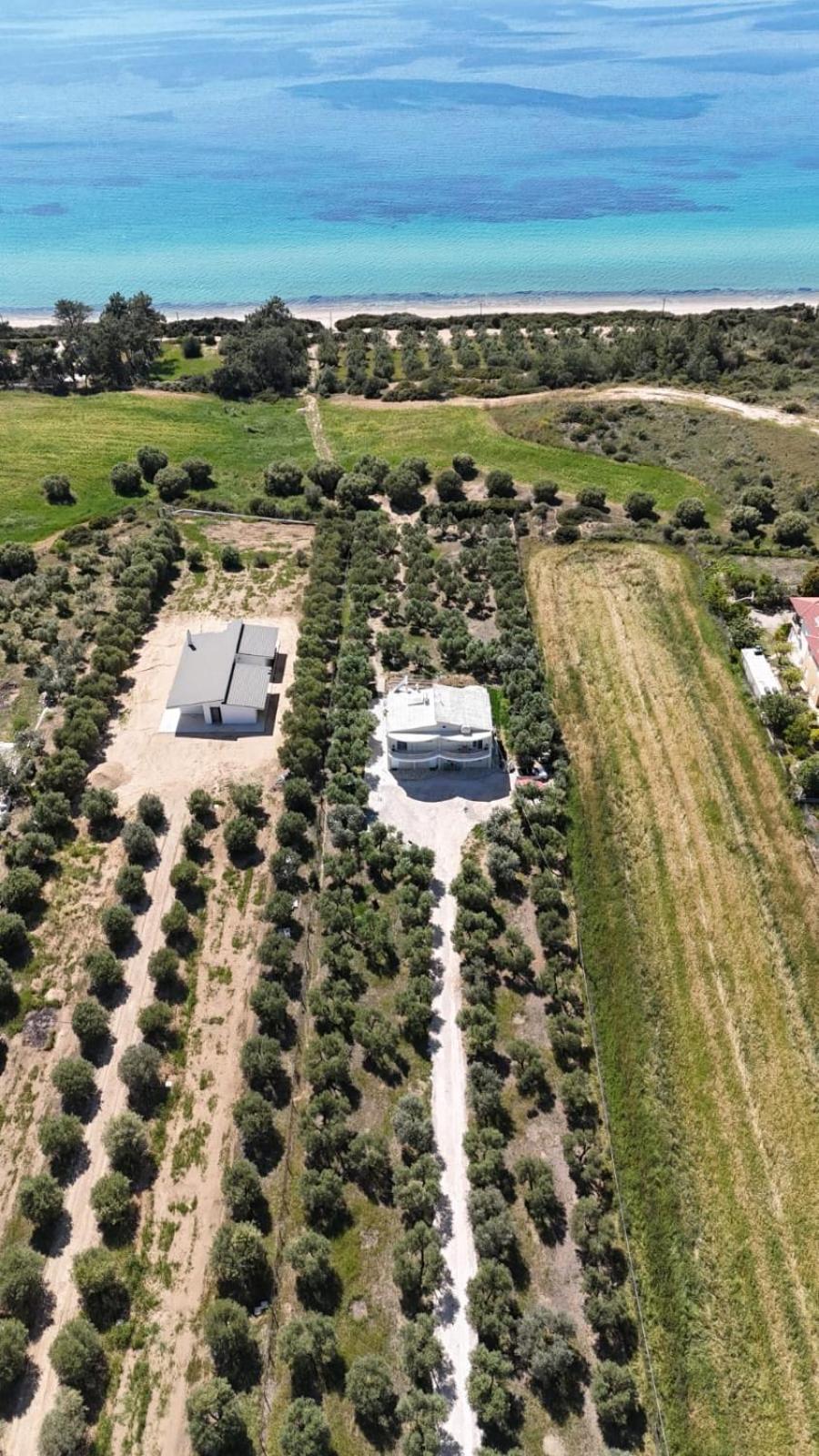 Villa Olymp Nea Poteidaia Exteriör bild
